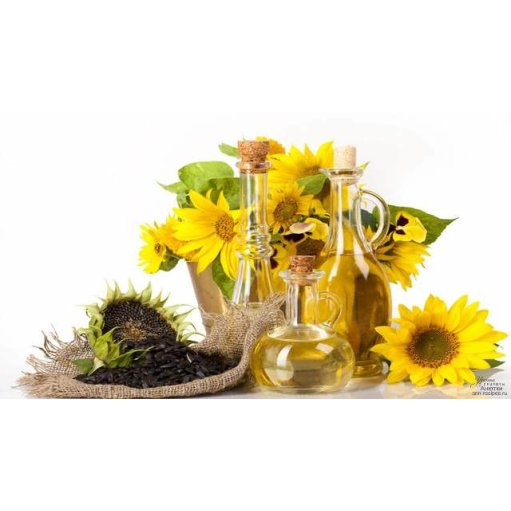 Олійно-пресове обладнання